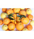 Caja mixta de Naranjas de Mesa y Mandarinas (10 kilos)
