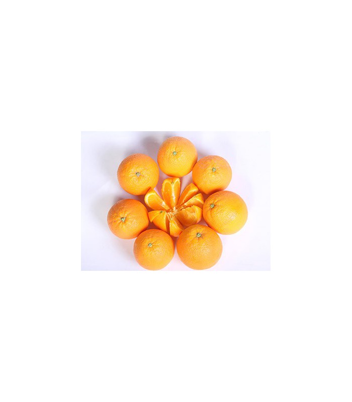 Las mejores ofertas en Unbranded naranja Piezas adicionales de